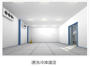 速凍冷庫建造 速凍冷庫建造